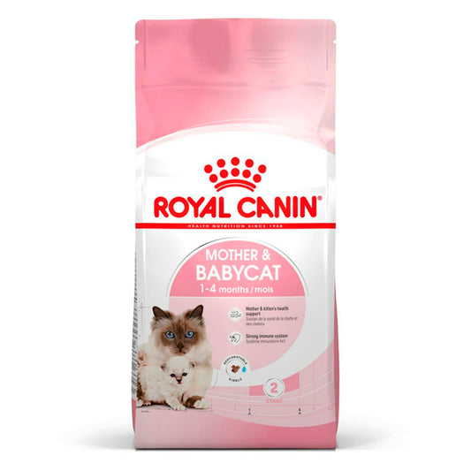 Royal Canin Mother & Babycat: Alimento para Gatas Gestantes y Gatitos Recién Nacidos