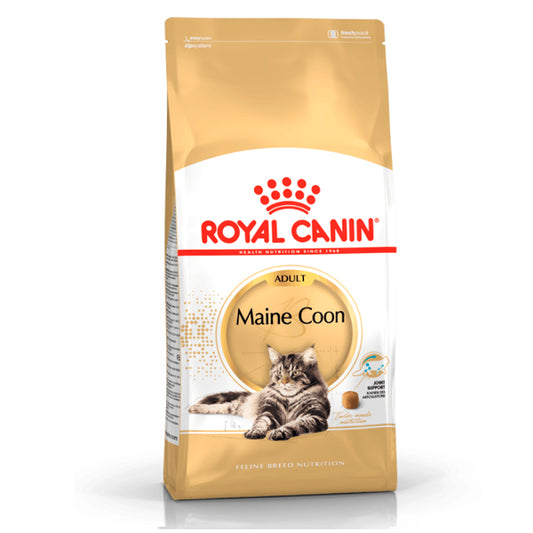 Royal Canin Maine Coon: Alimento Especializado para Gatos de Raza Maine Coon