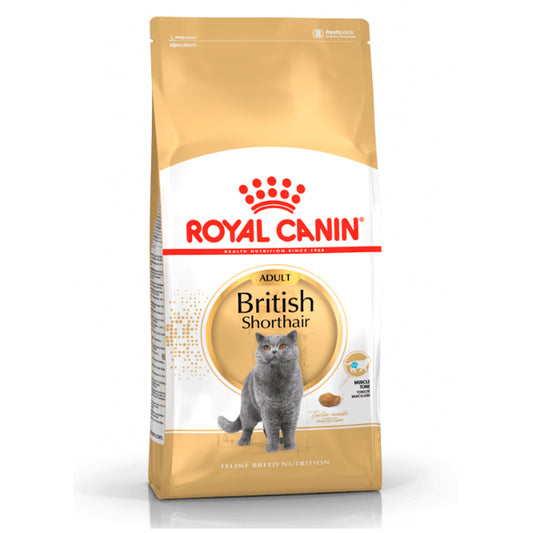 Royal Canin British Shorthair: Alimento Especializado para Gatos de Raza British Shorthair