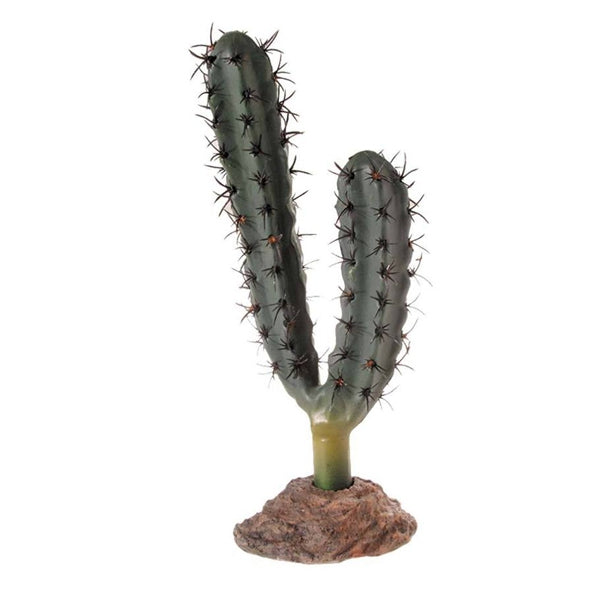 Hobby Cactus Kalahari 18 cm