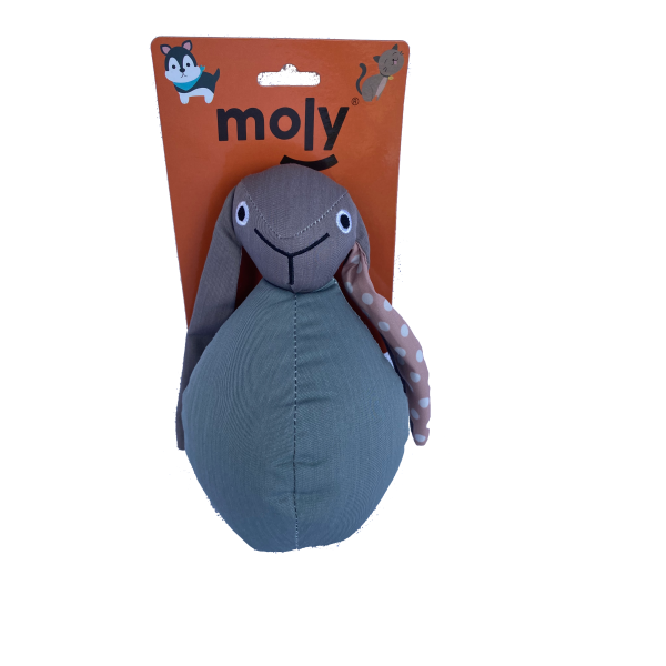 Moly Juguete Teddy Varias Texturas Interactivo