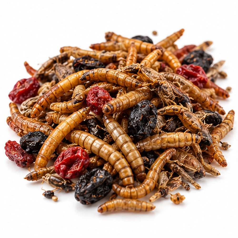 Alimento para peces y reptiles: insectos y larvas deshidratadas, sin envases ni marcas