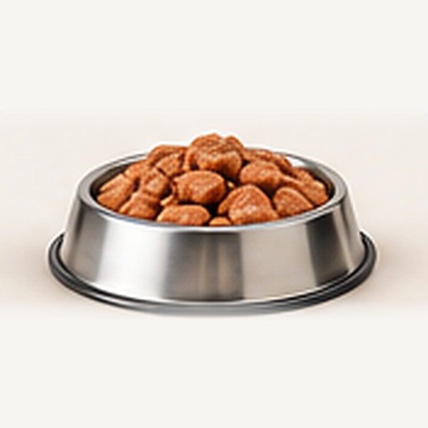 Alimento húmedo para gatos en un cuenco de acero