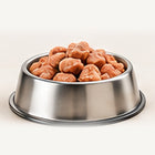 Comida húmeda para perros servida en un cuenco de acero sobre fondo claro