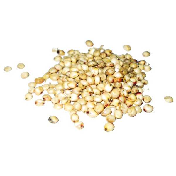 Semilla Dari (Sorgo Blanco) para Pájaros y Aves de Corral 1 kg (Granel) – Cereal Energético y Digestivo – Rica en Carbohidratos y Fibra – Ideal para Mixturas de Canarios, Periquitos, Agapornis, Gallinas y Pollos