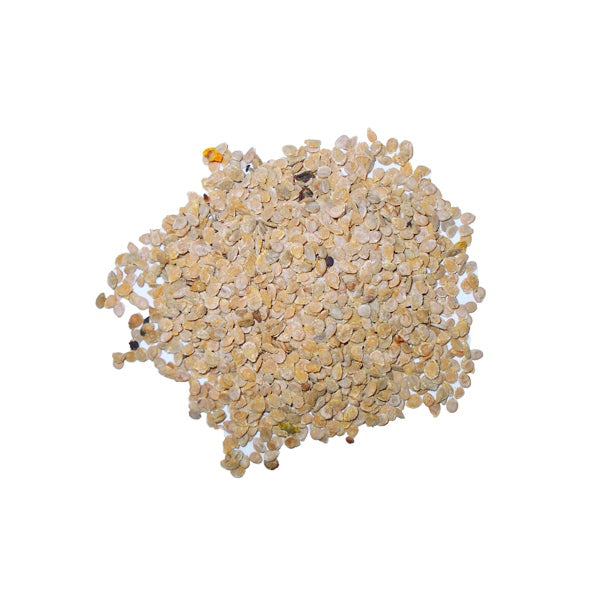 Semilla de Tomate para Pájaros 1 kg (Granel) – Vitaminas A, B1, B2 y C – Antioxidante Natural – Ideal para Canarios, Jilgueros y Lúganos – Complemento Digestivo y Refuerzo Inmunitario