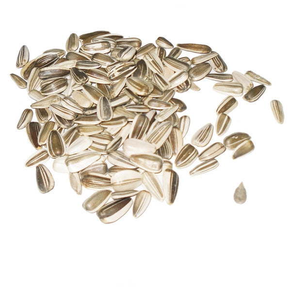 Pipa Iregui 1 Kg (Granel) – Semilla Premium para Aves – Alta Energía y Palatabilidad – Ideal para Canarios, Jilgueros, Loros y Periquitos