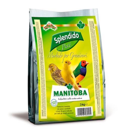 Manitoba Splendido Pasta Amarilla Húmeda 3 kg