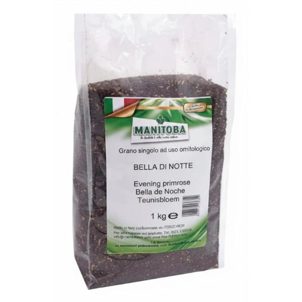 Bella de Noche Manitoba 1 kg (Onagra) – Semilla Pigmentante Natural para Jilgueros y Carduelis | Omega 6, Regeneración Celular y Máscara Roja Intensa