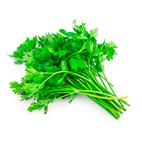 Plante Perejil