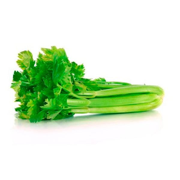 Plante Apio