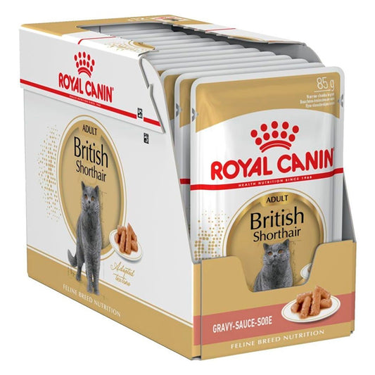 Royal Canin British Shorthair: Comida Húmeda Especializada para Gatos de Raza British Shorthair, Pack de 12 Sobres de 85g