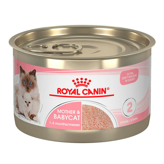 Royal Canin Mother & Baby Mousse: Alimento Húmedo para Madres y Cachorros, Pack de 12 Latas de 195 gr