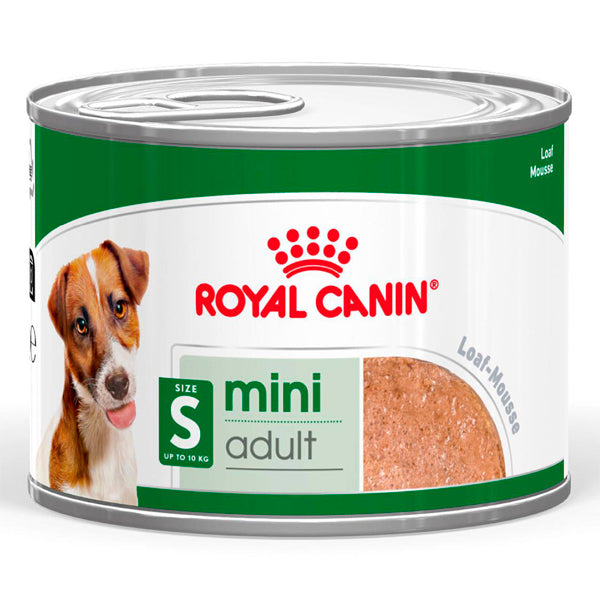 Royal Canin Mini Adult Paté - Comida Húmeda para Perros de Raza Pequeña, Lata 12x195g