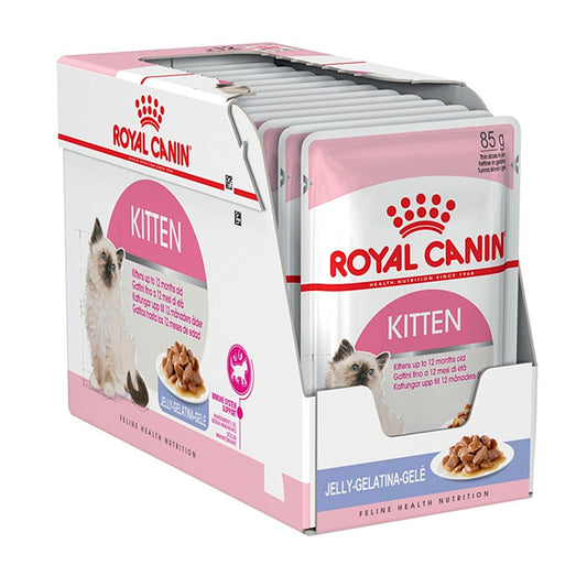Royal Canin Kitten: Comida Húmeda en Gelatina para Gatitos, Pack de 12 Sobres de 85gr