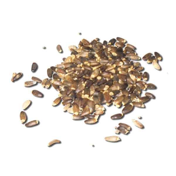 Semillas de cardo mariano en grano para alimentación de pájaros, 1 kg a granel