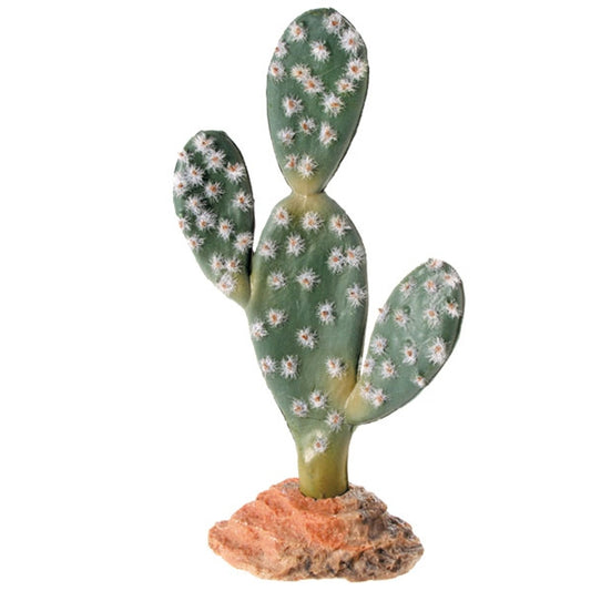 Hobby Cactus Sahara 17 cm - Tujilguero