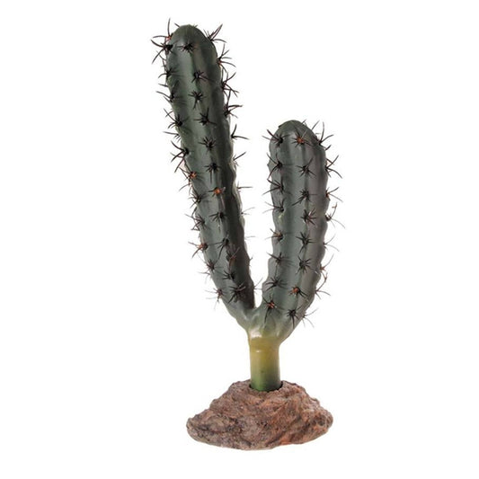 Hobby Cactus Kalahari 18 cm - Tujilguero