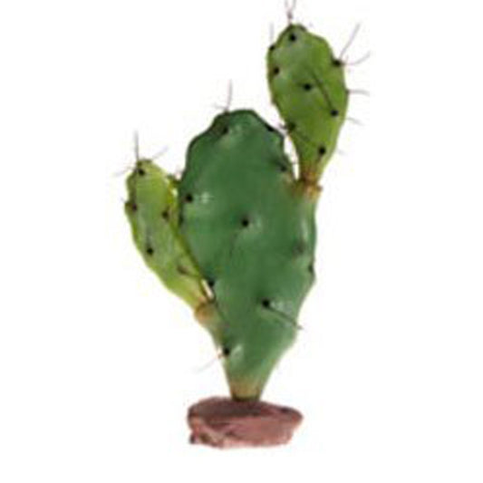 Hobby Cactus Serengueti 30cm - Tujilguero