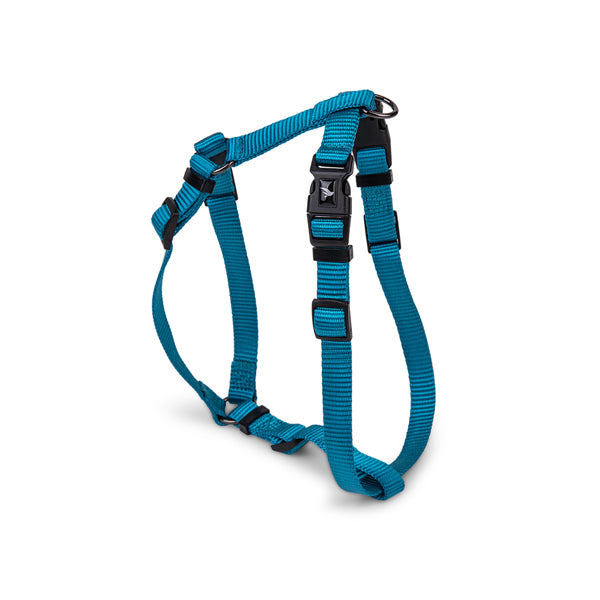 Vadigran Arnés En H Classic Nylon Turquesa 56-77Cmx25Mm L