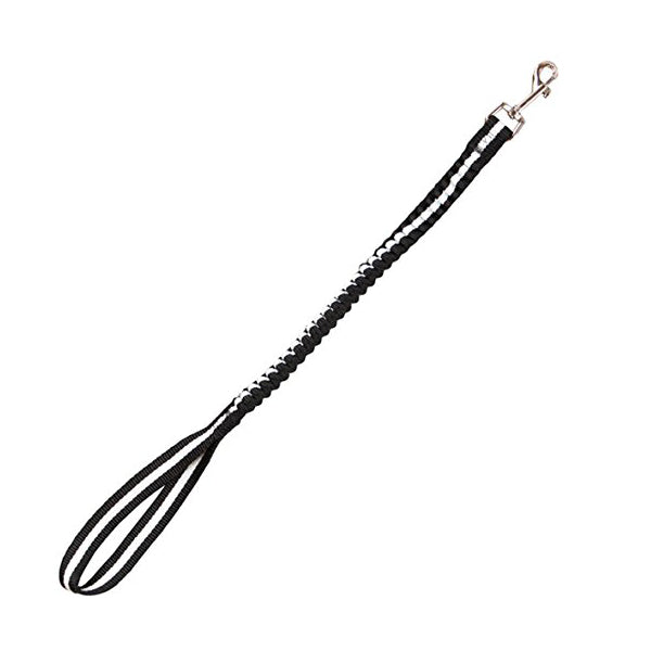 Arppe Nylon Halsband Für Hunde – Türkis, Verstellbar 25-42 Cm, Mit Clip