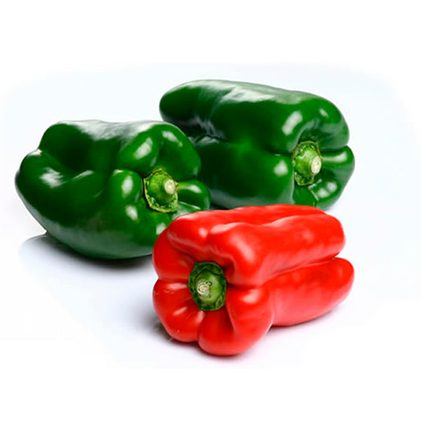 Plante Pimiento Lamuyo Asar