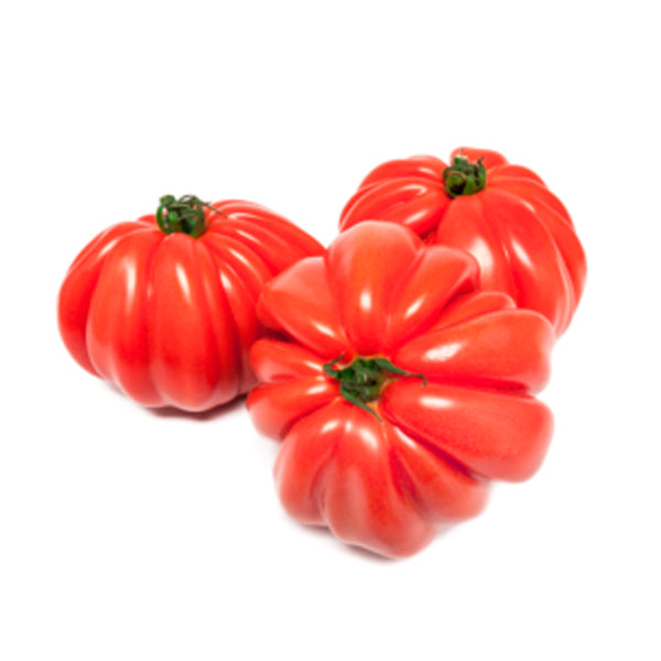 Plante Tomatera Corazón de Buey
