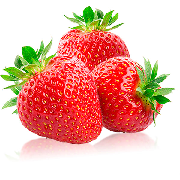 Plante Fresas