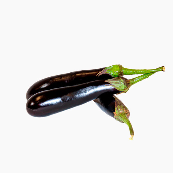 Plante Berenjena Larga