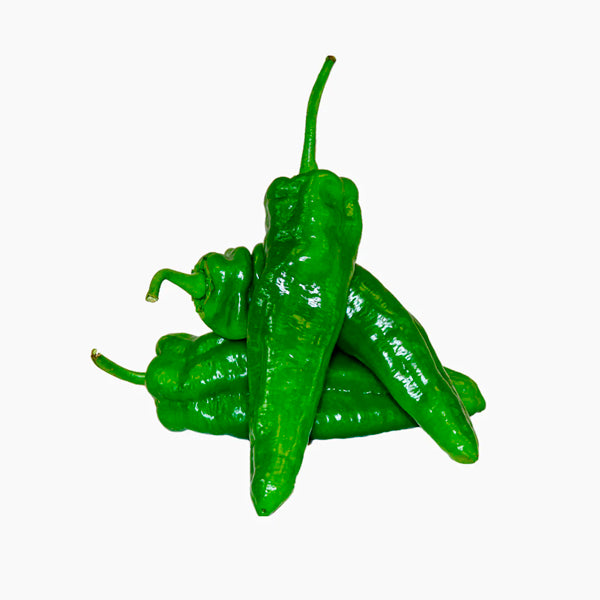 Plante Pimiento Freír Italia