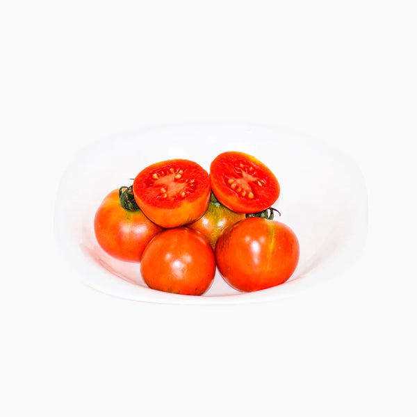 Plante Tomatera Tomaco